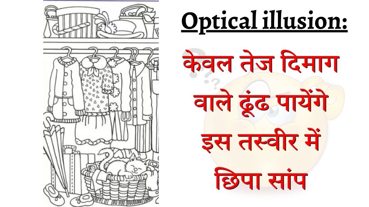 Optical illusion: केवल तेज दिमाग वाले ढूंढ पायेंगे इस तस्वीर में छिपा सांप, ढूंढ लिया तो कहलाओगे खतरों के खिलाड़ी