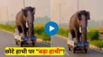 Viral Video: छोटे हाथी पर "बड़ा हाथी" देख आप भी हो जायेगे आश्चर्यचकित, गजराज का वीडियो हो रहा जमकर वीडियो वायरल