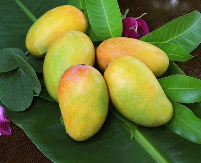 Aam Ki Variety | This special variety of mango is prepared in a pot at home.