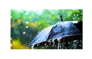 Monsoon In MP: IMD gave a big update on the entry of monsoon in Madhya Pradesh.