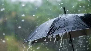 Monsoon 2024 | When will monsoon arrive in the country, know IMD's forecast