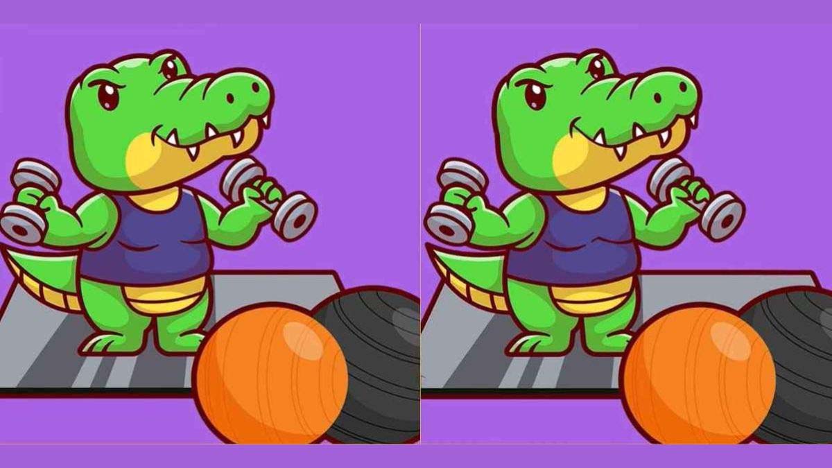 Optical Illusion: There are 4 differences hidden in two pictures that look similar, find them quickly