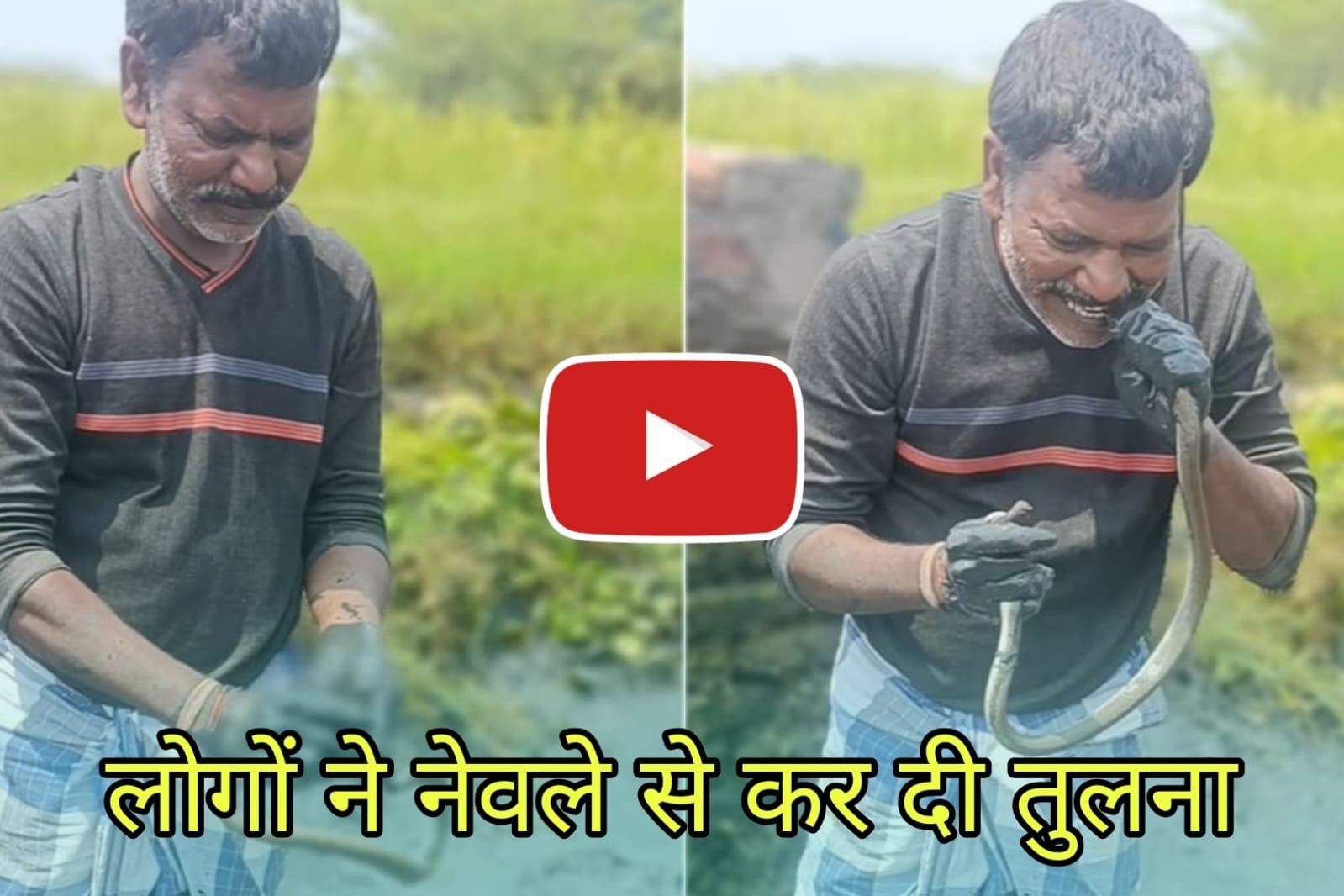 This man started eating the Saanp in his hands, you will get angry after watching the video