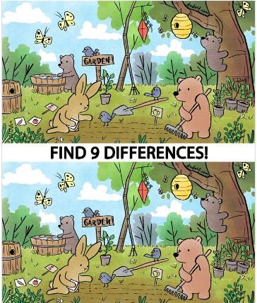 Find 9 differences between these two pictures related to optical illusion and become a genius.