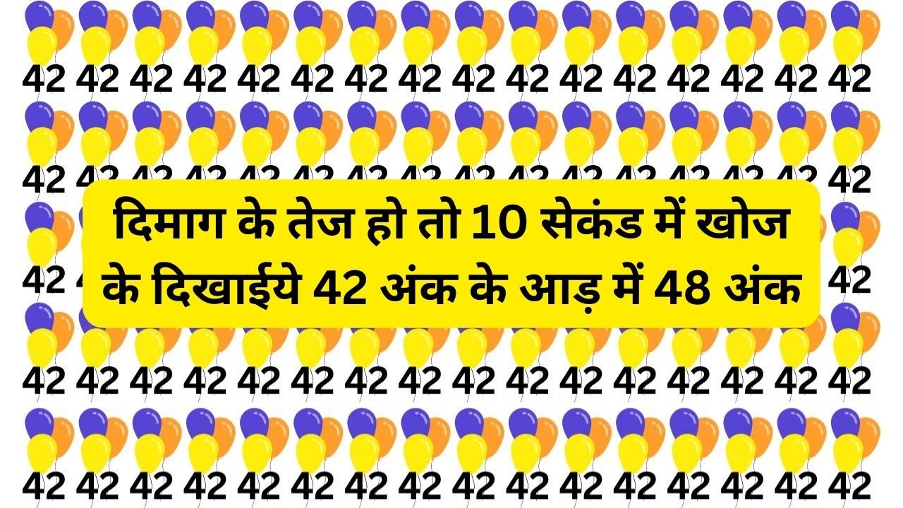 Optical Illusion: दिमाग के तेज हो तो 10 सेकंड में खोज के दिखाईये 42 अंक के आड़ में 48 अंक