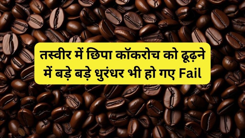 Optical illusion: तस्वीर में छिपा कॉकरोच को ढूढ़ने में बड़े बड़े धुरंधर भी हो गए Fail, क्या आपकी है चालाक बुद्धि