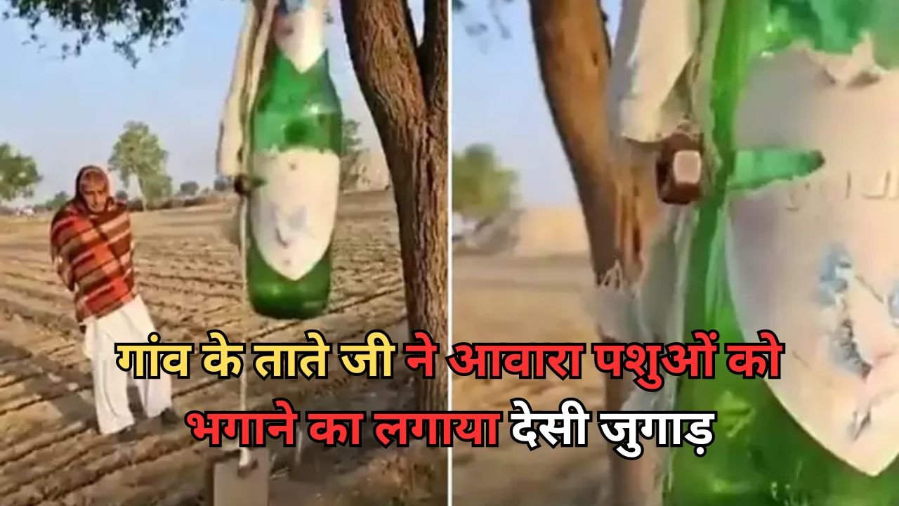 Desi jugaad: गांव के ताते जी ने आवारा पशुओं को भगाने का लगाया देसी जुगाड़, देखे Viral Jugaad