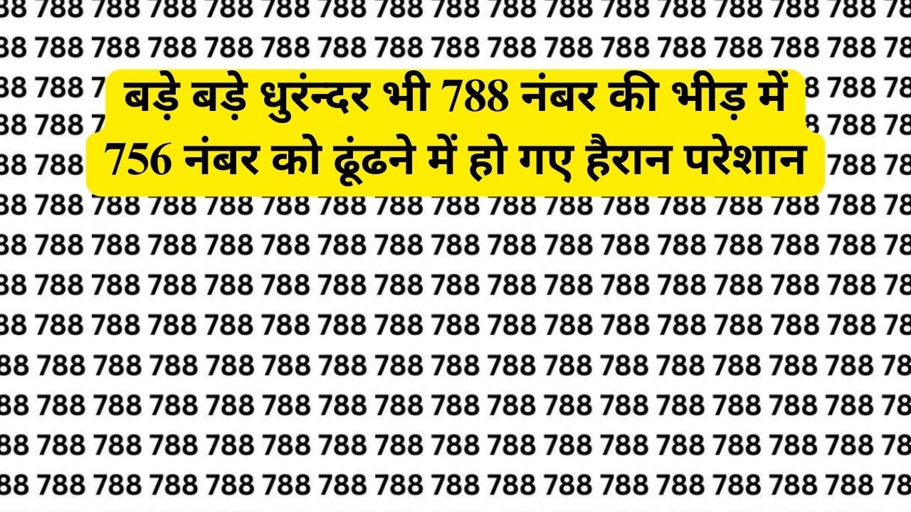 Optical Illusion: बड़े बड़े धुरंन्दर भी 788 नंबर की भीड़ में 756 नंबर को ढूंढने में हो गए हैरान परेशान, क्या आप में हैं....