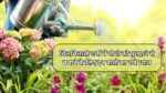 चिलचिलाती गर्मी में पौधो को मुरझाने से बचाने के लिए इन बातो का रखे ध्यान
