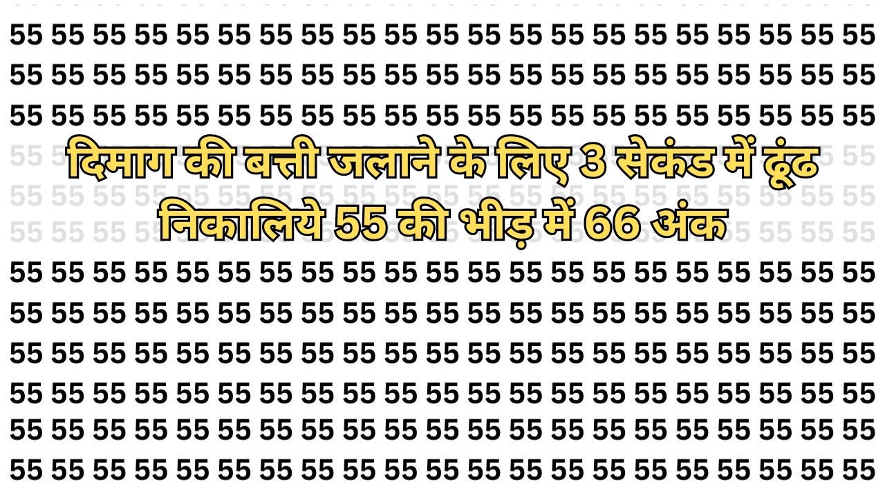 Optical Illusion: दिमाग की बत्ती जलाने के लिए 3 सेकंड में ढूंढ निकालिये 55 की भीड़ में 66 अंक