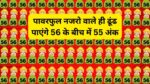 Optical illusion: पावरफुल नजरो वाले ही ढूंढ पाएंगे 56 के बीच में 55 अंक, ढूंढ निकाला तो कहलाओगे बीरबल का पोता