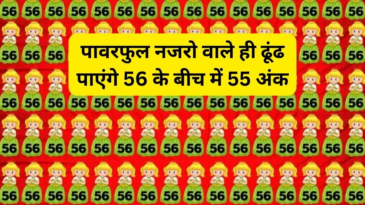 Optical illusion: पावरफुल नजरो वाले ही ढूंढ पाएंगे 56 के बीच में 55 अंक, ढूंढ निकाला तो कहलाओगे बीरबल का पोता