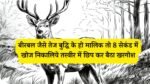 Optical illusion: बीरबल जैसे तेज बुद्धि के हो मालिक तो 8 सेकंड में खोज निकालिये तस्वीर में छिप कर बैठा खरगोश, मान जायेगे बीरबल का भांजा