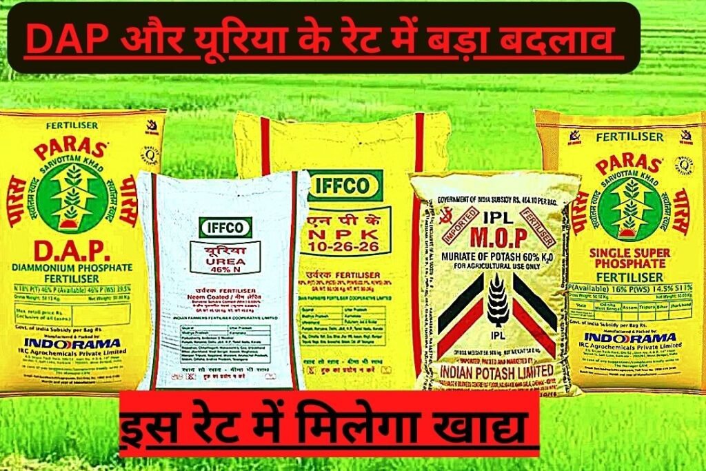 Dap Urea Rate: लोकसभा चुनाव Result के पहले होगी किसानो की बल्ले बल्ले जानिए DAP Urea के नए ताजा भाव यह है एक बोरी की कीमत