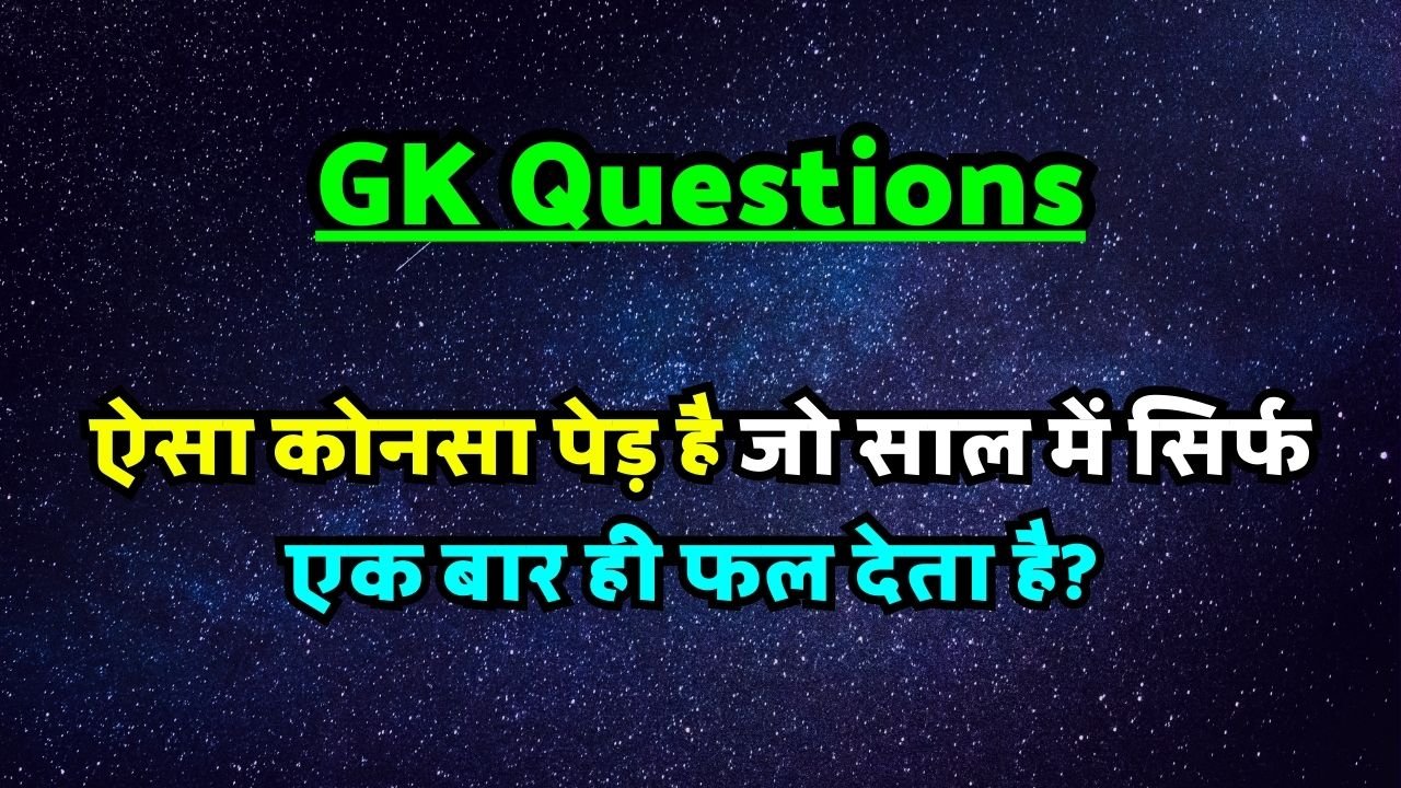 GK Questions: ऐसा कोनसा पेड़ है जो साल में सिर्फ एक बार ही फल देता है? दिमाग हो तो जवाब दो!