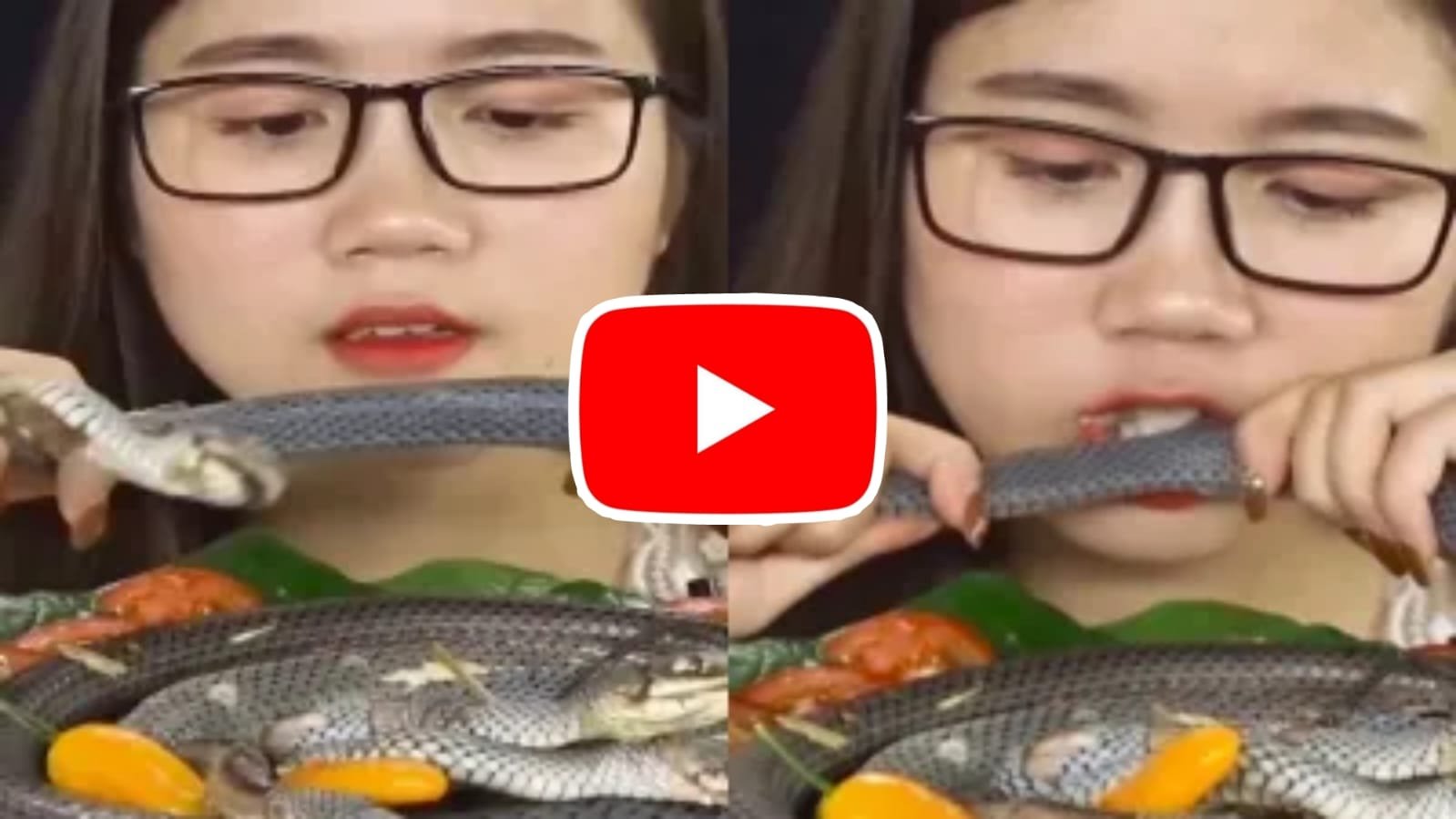 Girl and snake: This girl is very dangerous, she got eaten by a snake