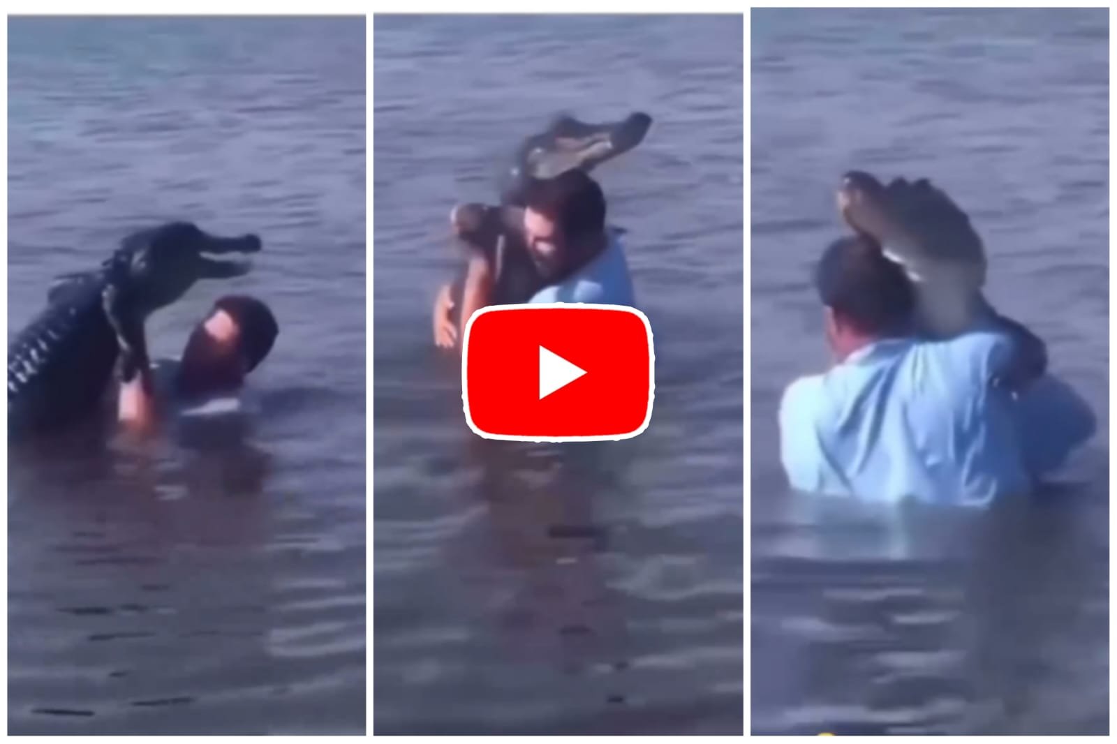 Magarmach Ka Video: A man hugged a crocodile and started dancing in the middle of the water.