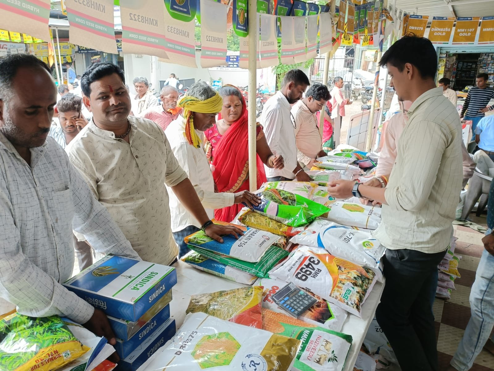 Seed Purchase in Betul: Crowd of farmers gathered to buy seeds