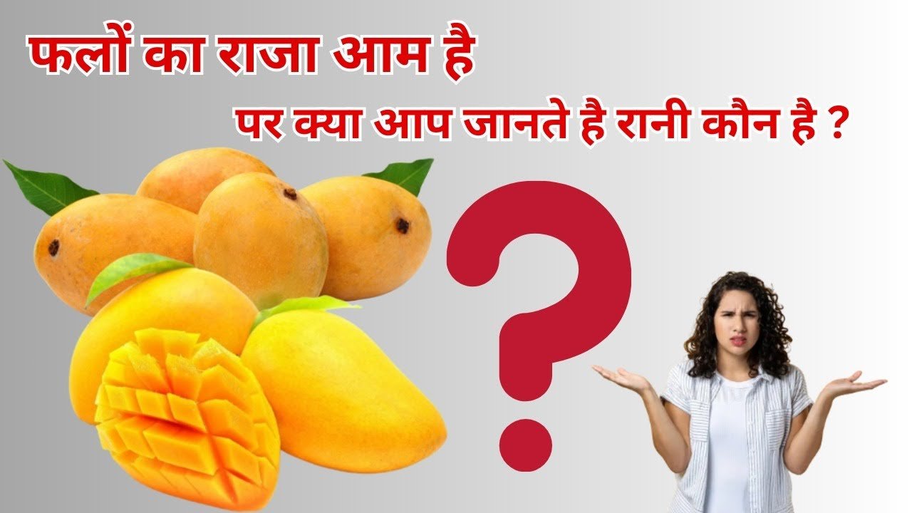 Tricky Questions: आम फलो को राजा! तो फलो की रानी कौन? क्या आपको है पता...