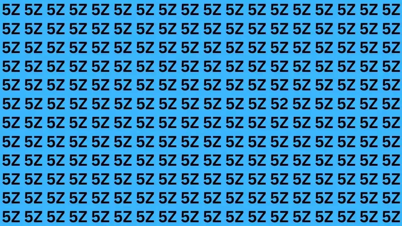 Optical Illusion: 52 is hidden in the maze of 5Z, the challenge is to find it.