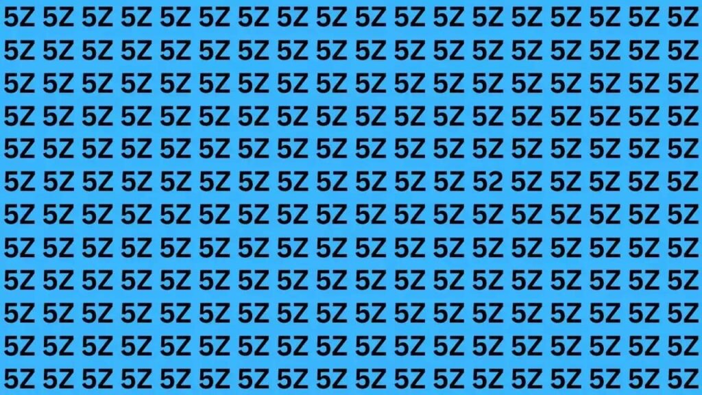 Optical Illusion: 52 is hidden in the maze of 5Z, the challenge is to find it.
