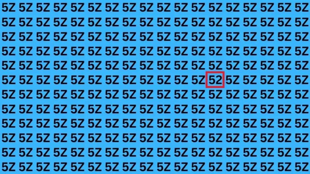 Optical Illusion: 52 is hidden in the maze of 5Z, the challenge is to find it.
