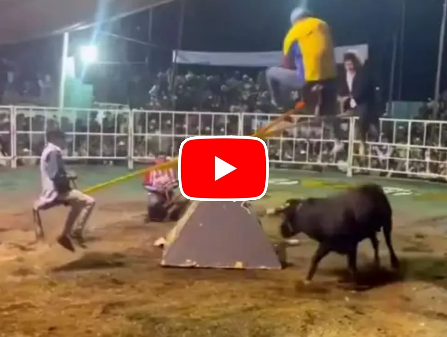 Funny Viral Video: This fun game with the bull proved difficult for the boys