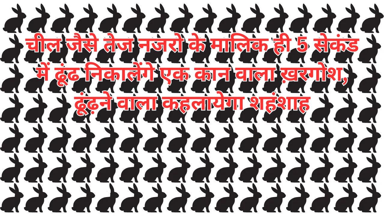 Optical Illusion: चील जैसे तेज नजरो के मालिक ही 5 सेकंड में ढूंढ निकालेंगे एक कान वाला ख़रगोश, ढूंढ़ने वाला कहलायेगा शहंशाह