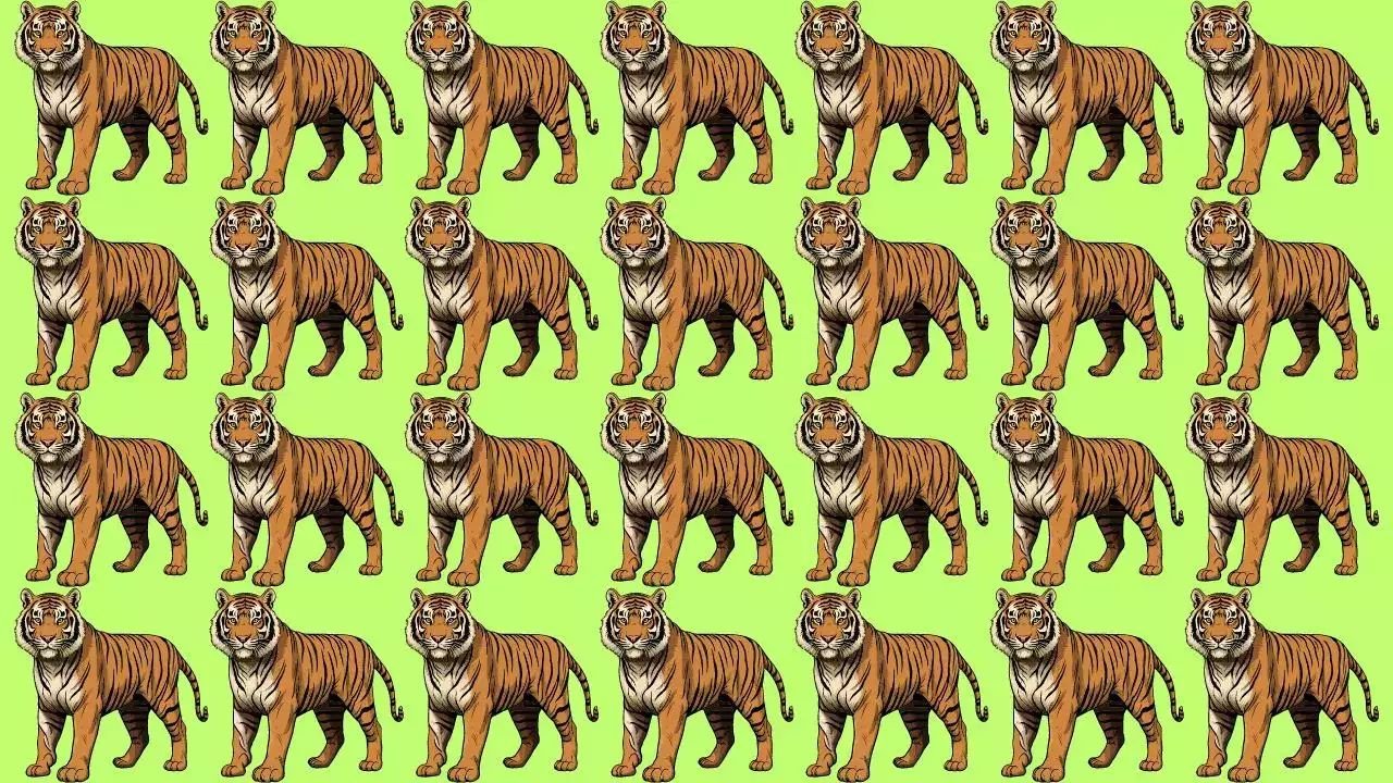 Optical Illusion: बाघों के झुंड में छिपा है एक अनोखा बाघ! ढूंढने वाला कहलायेगा असली सिकंदर