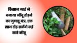 किसान भाई ने बनाया नींबू तोड़ने का जुगाड़ू यंत्र, एक साथ तोड़ सकेंगे कई सारे नींबू