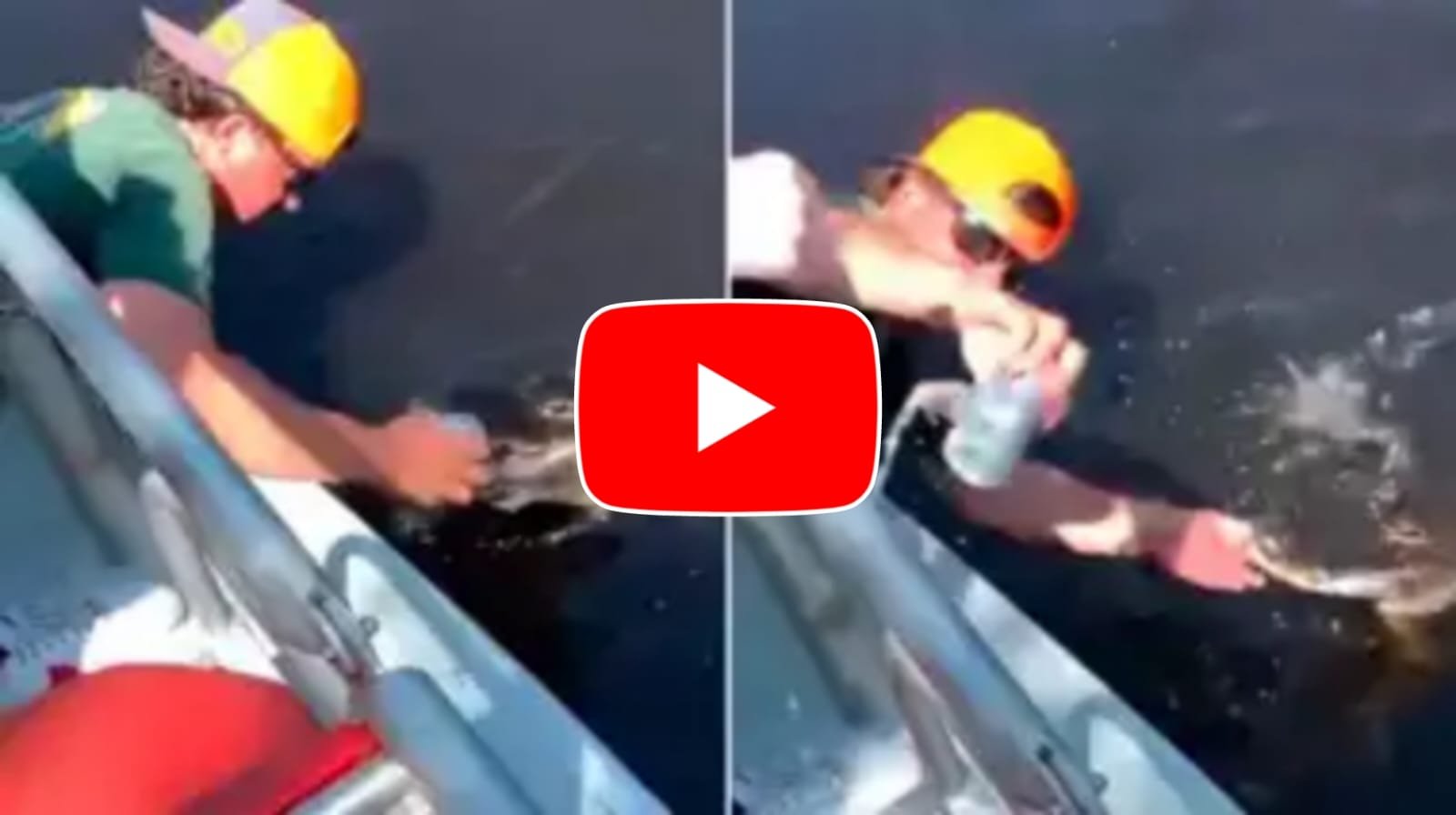 Magarmach Ka Video: A man took the help of crocodile's teeth to open a can of beer.