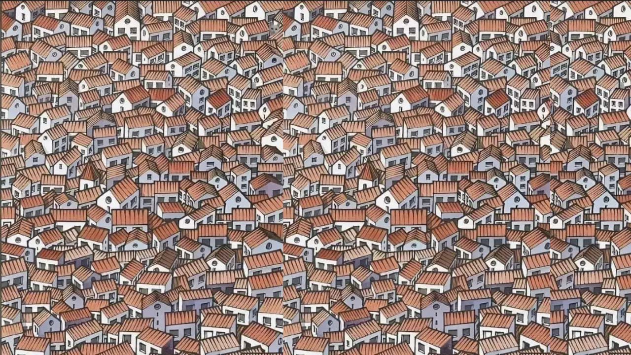 Optical Illusion: A small cat is hidden among many houses, those who find it are left in a tizzy.