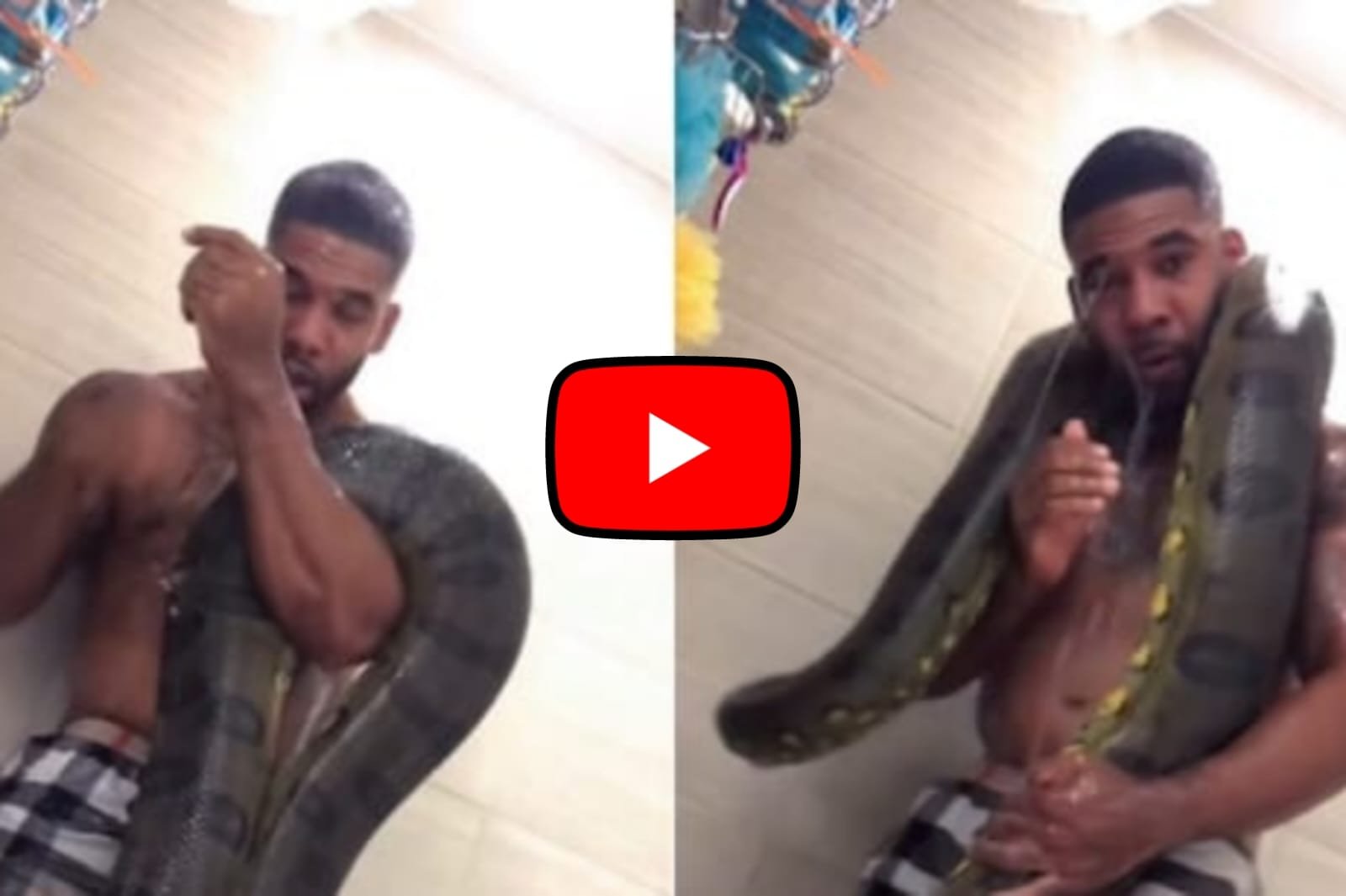 Anaconda Ka Video: Video of a man bathing in the bathroom with a giant anaconda snake goes viral