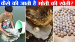 Business idea: आज ही शुरू करे मोती की खेती! सरकार दे रही है 50% की सब्सिडी, जाने प्रक्रिया