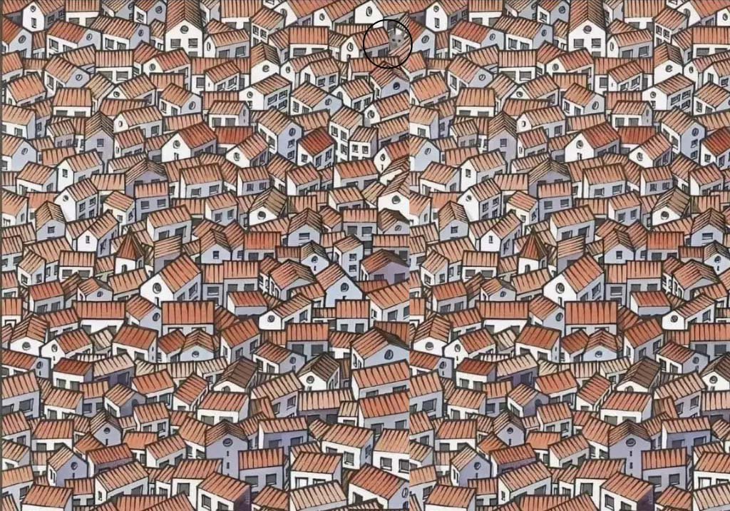 Optical Illusion: A small cat is hidden among many houses, those who find it are left in a tizzy.
