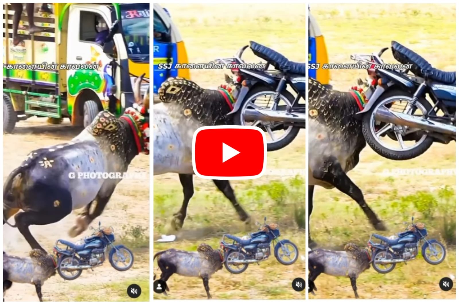 Saand Ka Video: Angry bull threw the bike by picking it up with its horns, then created ruckus