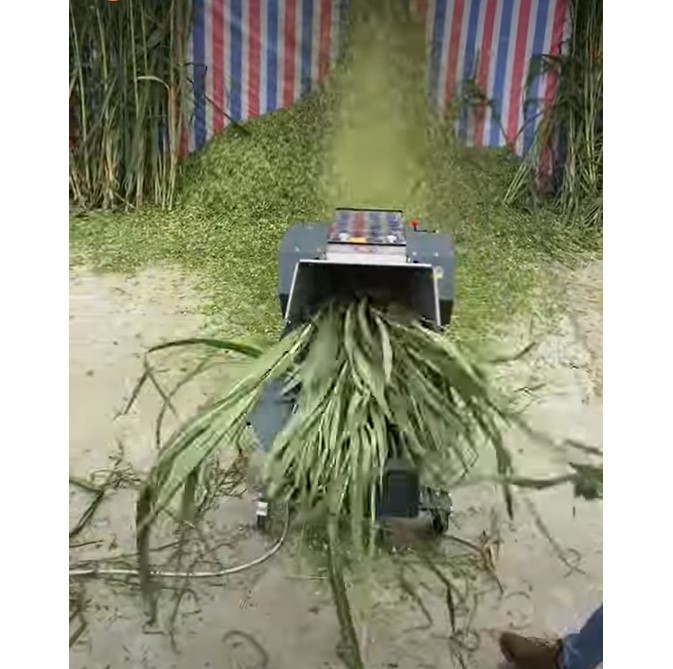 पशुपालको की झंझट हुई खत्म, चारा कटिंग मशीन ने मचाया तहलका, पलक झपकते ही काटती है चारा