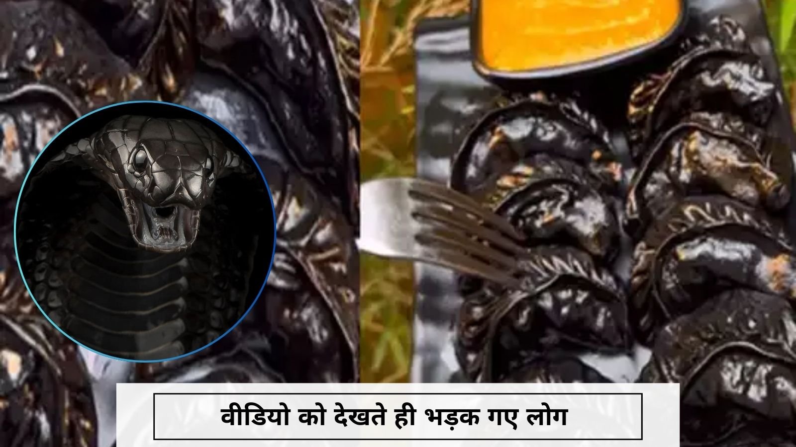 Video of making Black Cobra Momos went viral on social media