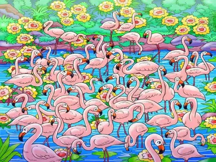 Optical Illusion: Only the brave will be able to find the girl in this picture full of pairs of swans
