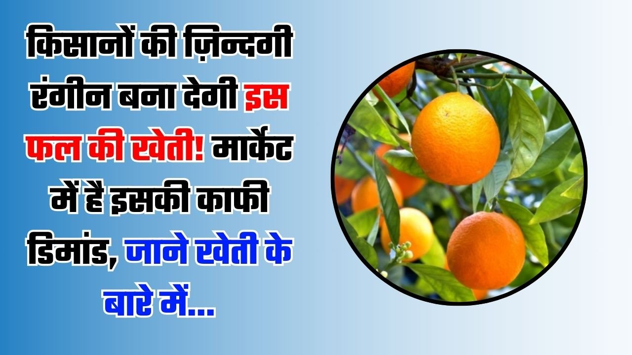 किसानों की ज़िन्दगी रंगीन बना देगी इस फल की खेती! मार्केट में है इसकी काफी डिमांड, जाने खेती के बारे में...