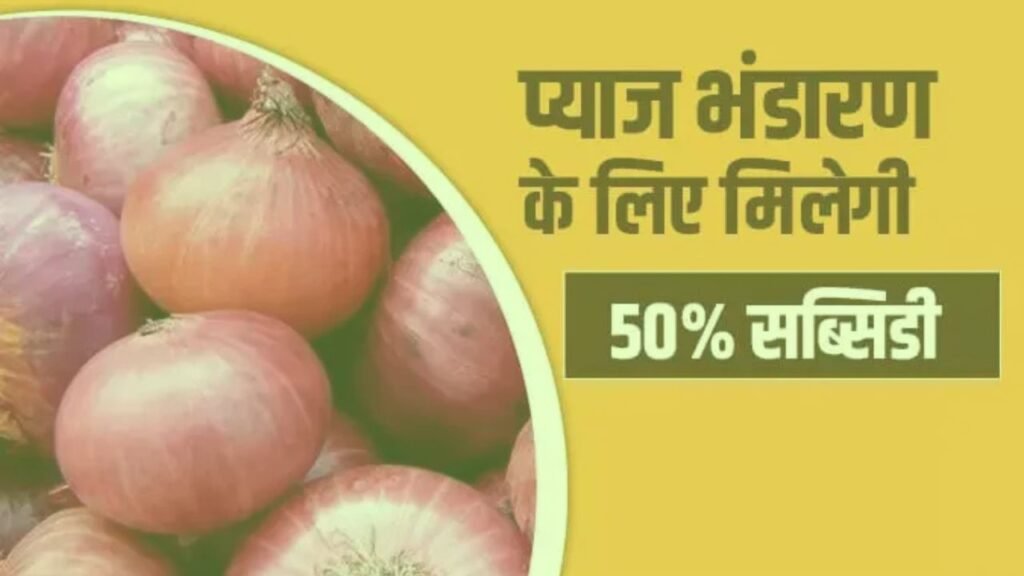 सरकार दे रही है प्याज भंडारण के लिए 4.5 लाख रुपये, घर बैठे करे कमाई जानें कौन है पात्र और कैसे करें आवेदन